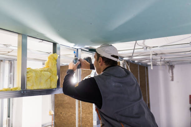 Best Insulation Maintenance and Repair in Wales, WI